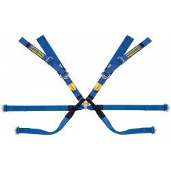 ARNES FORMULA 8 PUNTOS...