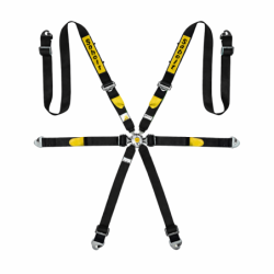 ARNES FIA SILVER ENDURO FIA...